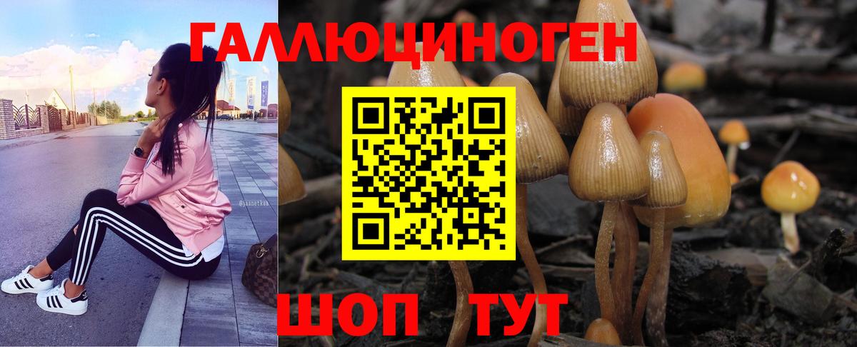 Людиново  Псилоцибиновые грибы Magic Shrooms  Вход с VPN  Галлюциногенные грибы мицелий 