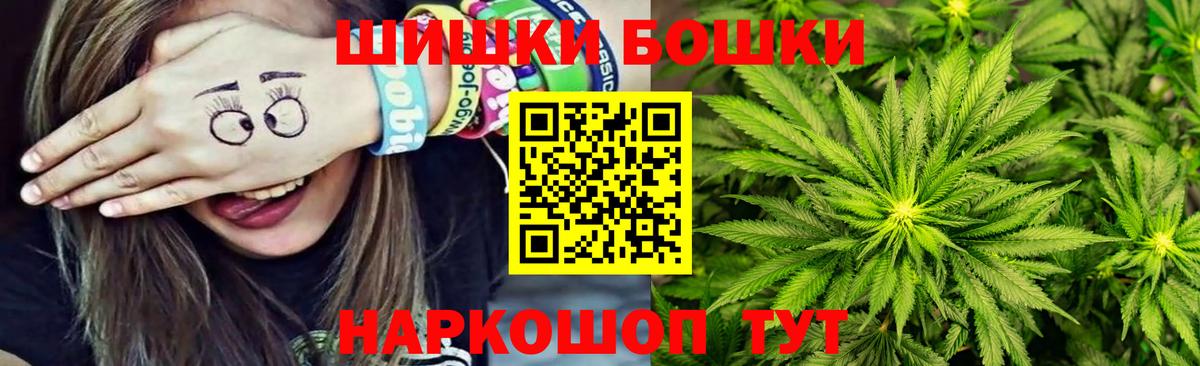 Бошки Шишки планчик Людиново